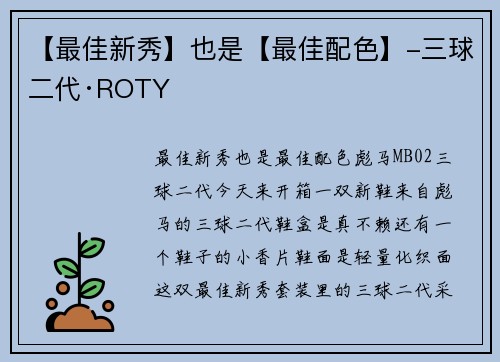 【最佳新秀】也是【最佳配色】-三球二代·ROTY