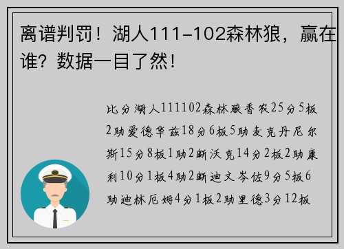离谱判罚！湖人111-102森林狼，赢在谁？数据一目了然！